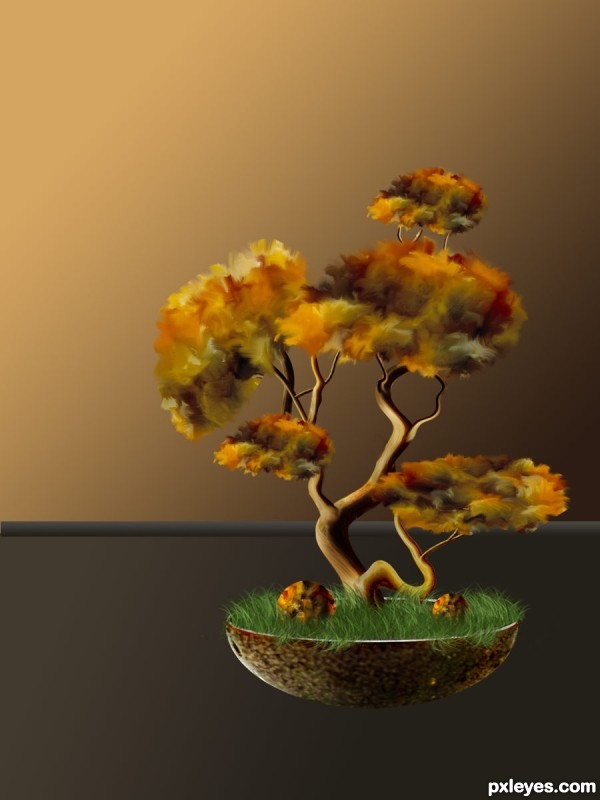 Creation of Bonsai: Step 10